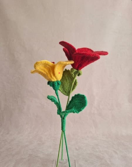 Hibiscus — view 2